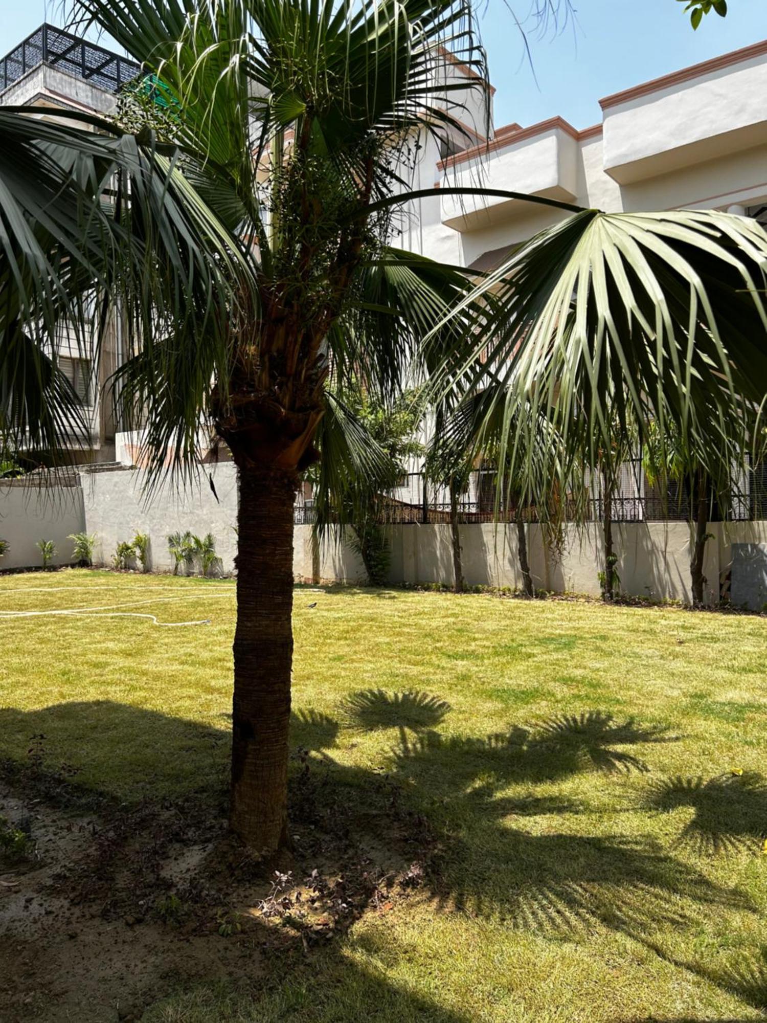 Ashirvad Homestay فاراناسي المظهر الخارجي الصورة